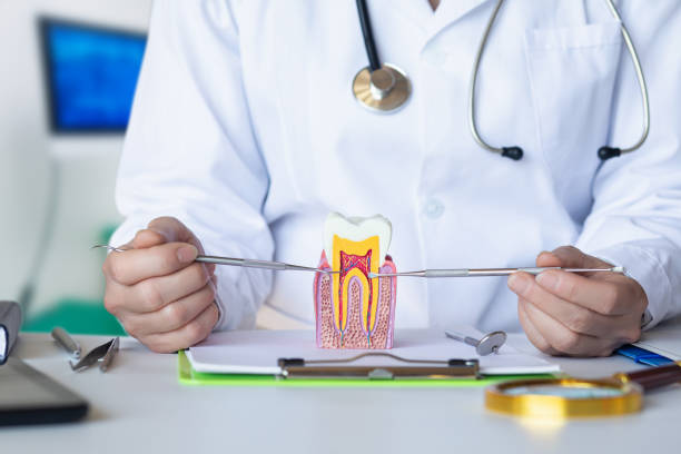 Best Walk-In Emergency Dentist in St Clairsville, OH